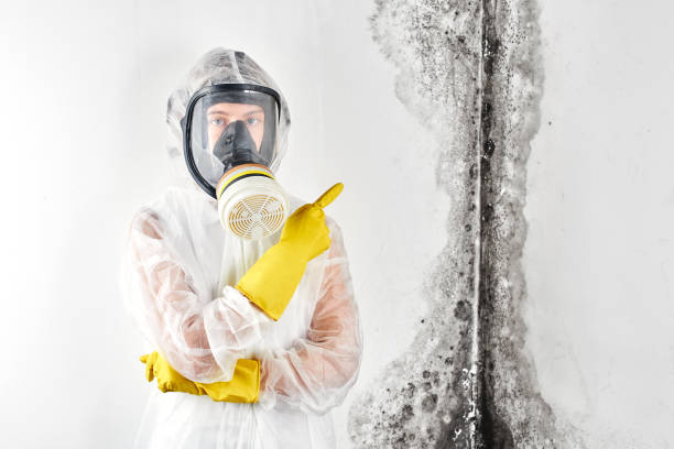 Forensic Mold Investigation in Cleveland, WI