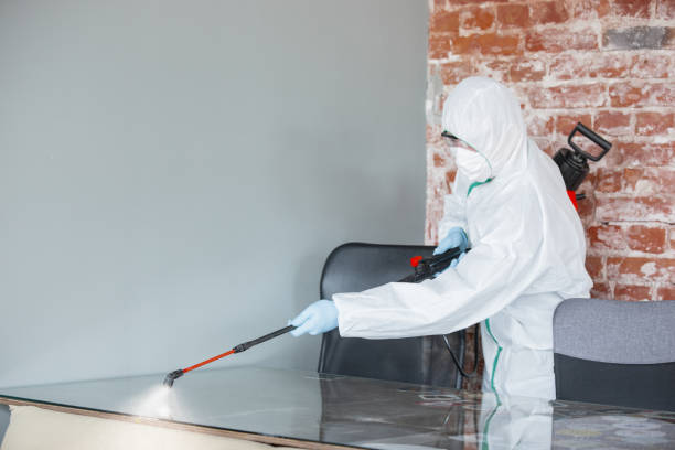 Professional Mold Removal Services in Cleveland, WI